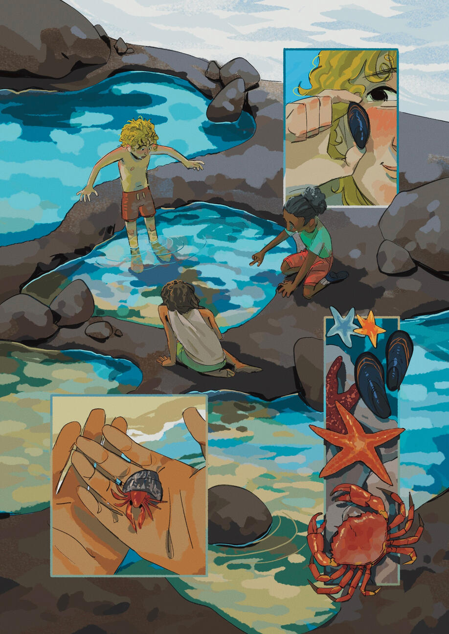 Tide Pools