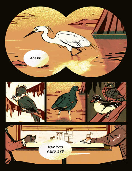 Page 3 Page 3